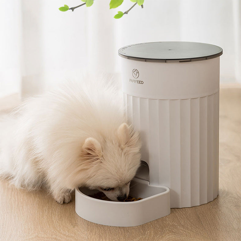 Cat Automatic Pet Feeder Intelligence - Paw Heroes Shop