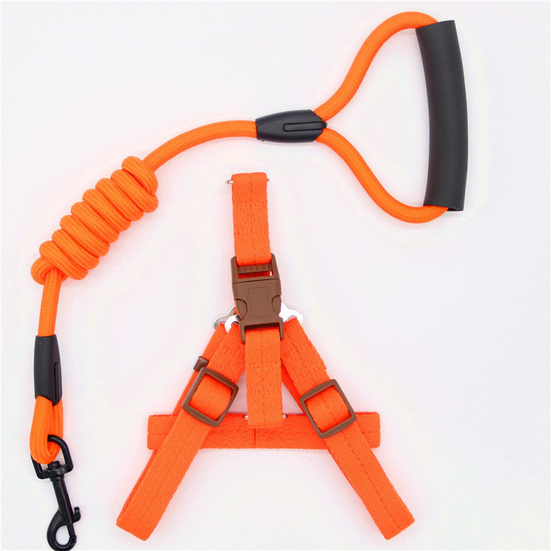 Pet Supplies Simple Dog Leash - Paw Heroes Shop