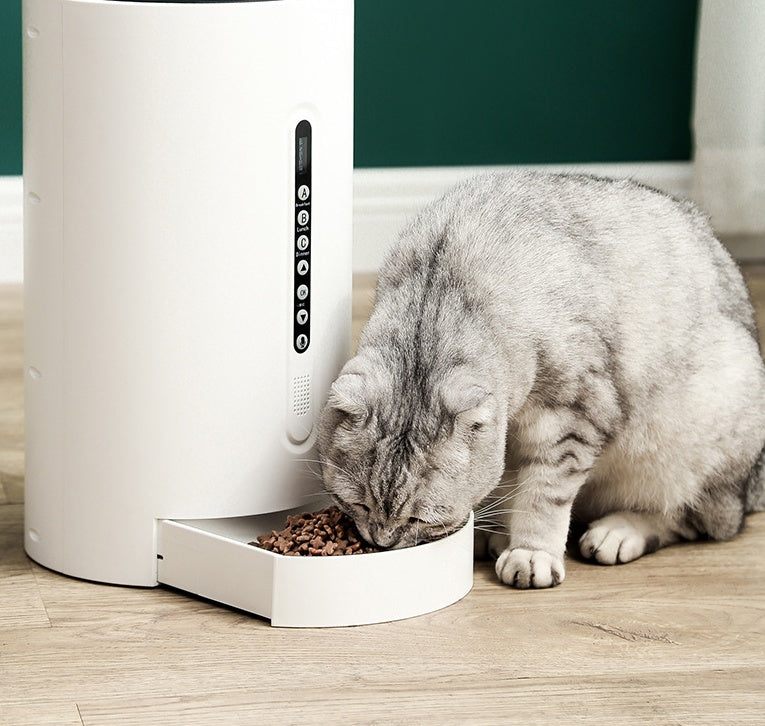 Pet Smart Feeder Pet Supplies Timing - Paw Heroes Shop