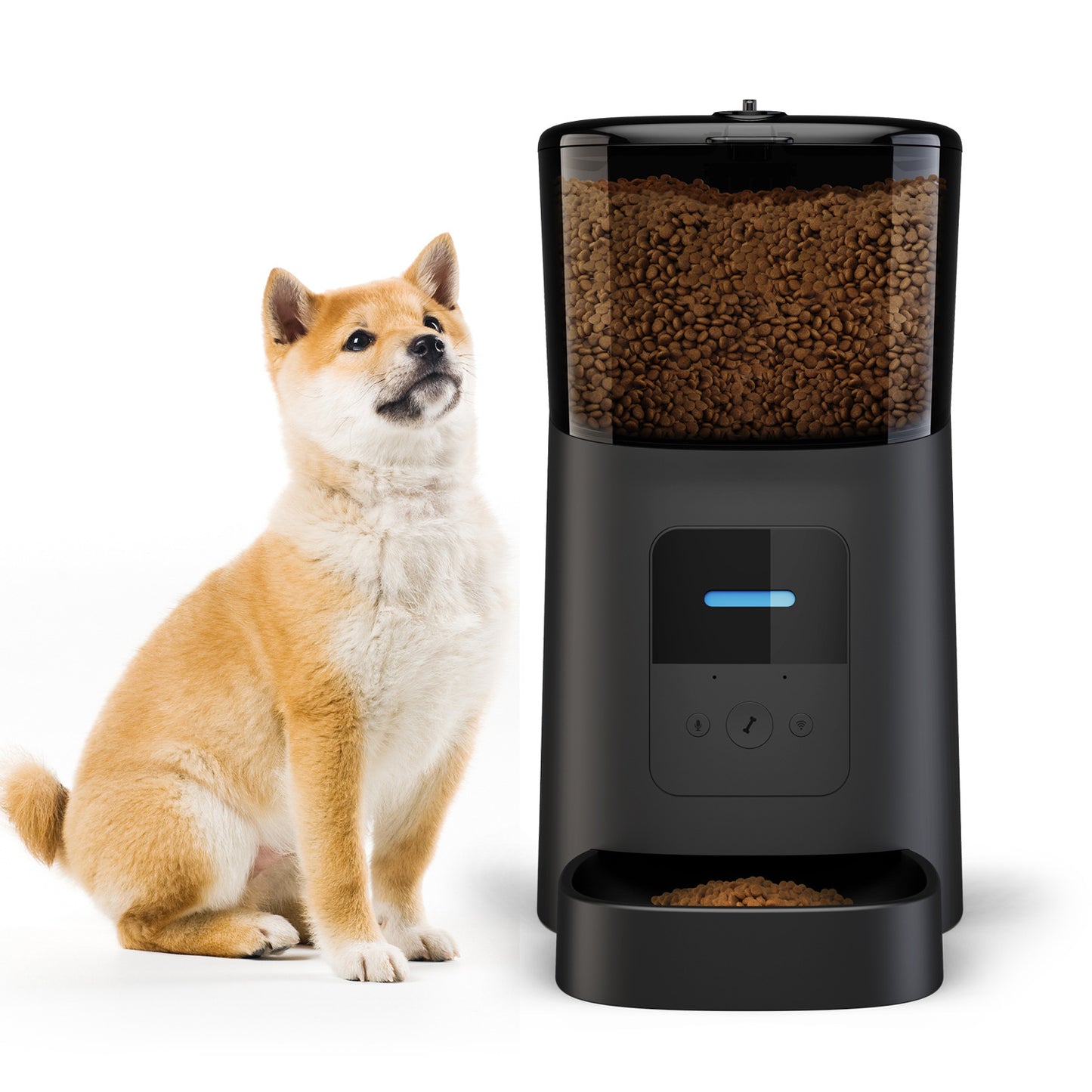 Pet feeder automatic - Paw Heroes Shop