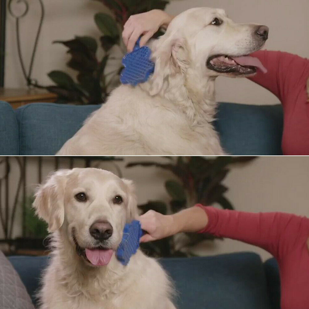 Pet Hair Remover Brush Gentle Pet Grooming Brush - Paw Heroes Shop