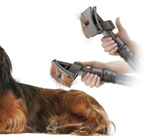 Pet grooming tool being used on a dog's paw with a white background