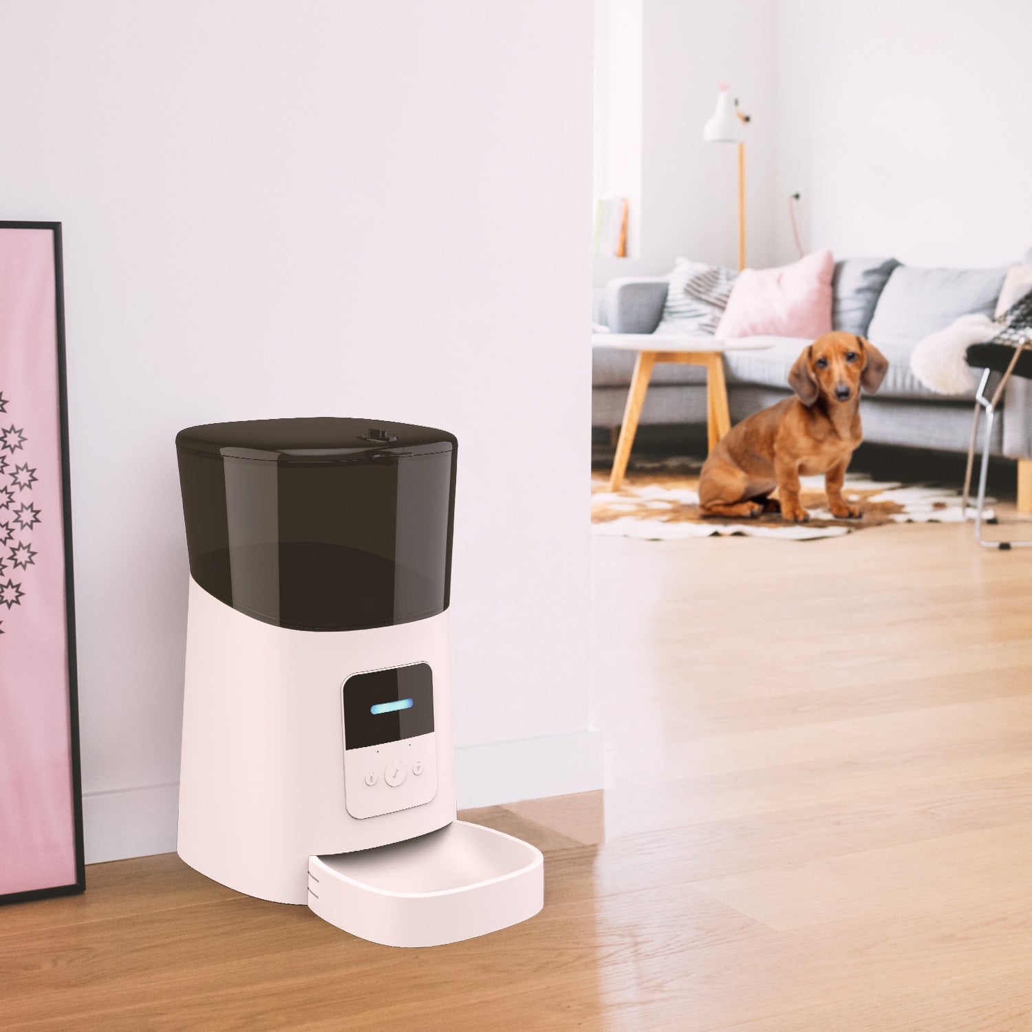 Pet feeder automatic - Paw Heroes Shop