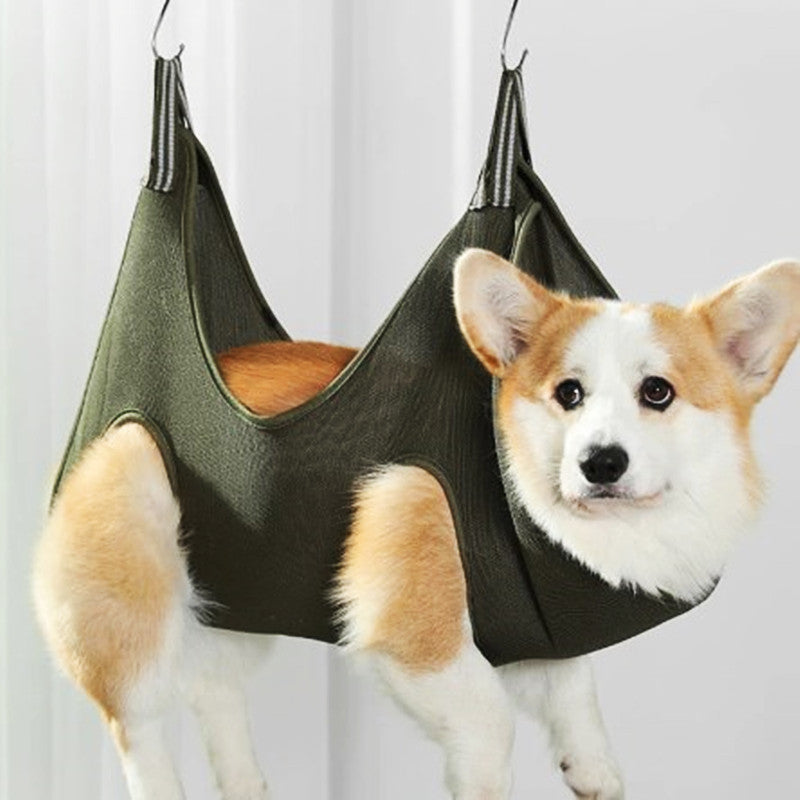 Dog in a green hammock against a white background