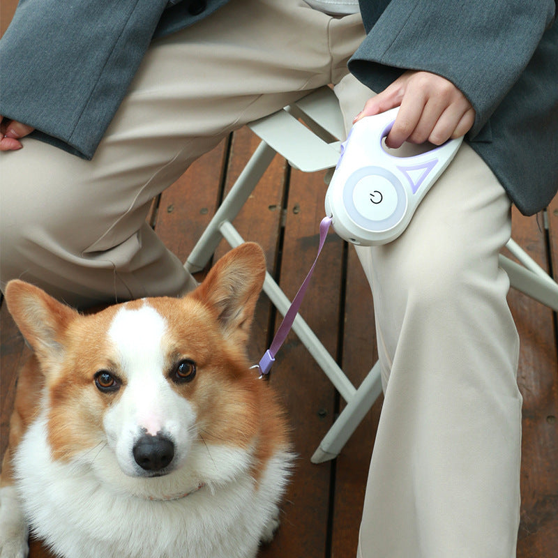 Dog Leash Retractable Leash And Dog Collar Spotlight Automatic Pet Dog Cat Traction Rope For Small Medium Dogs Pet Product - Paw Heroes Shop