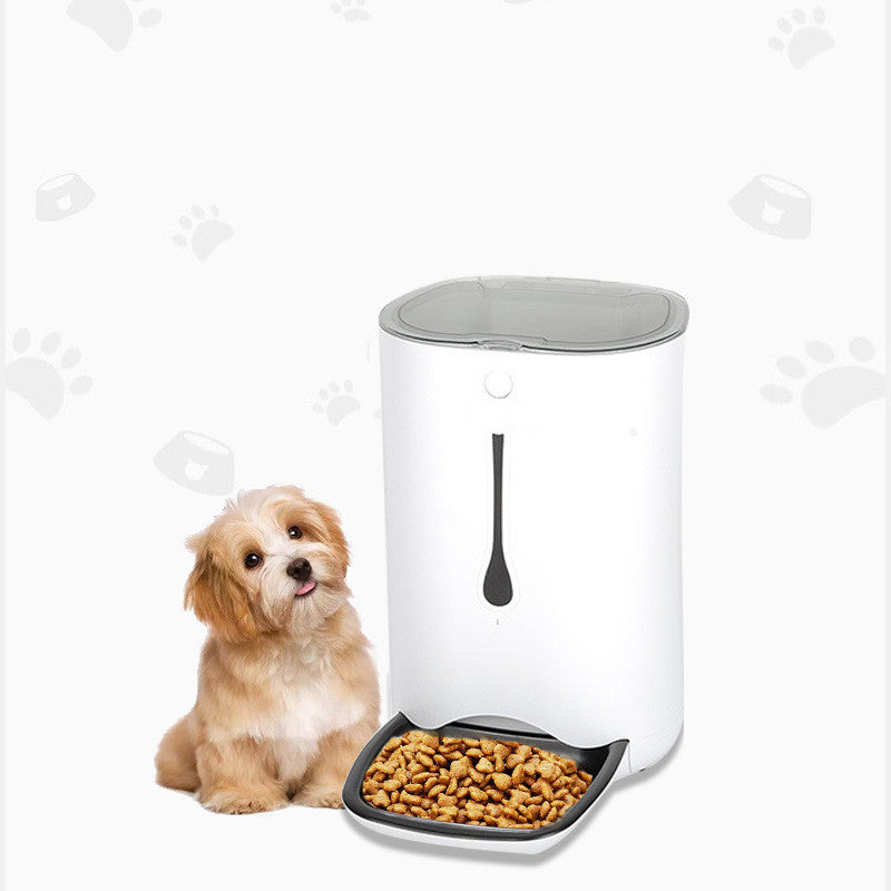 Timed pet video automatic feeder - Paw Heroes Shop