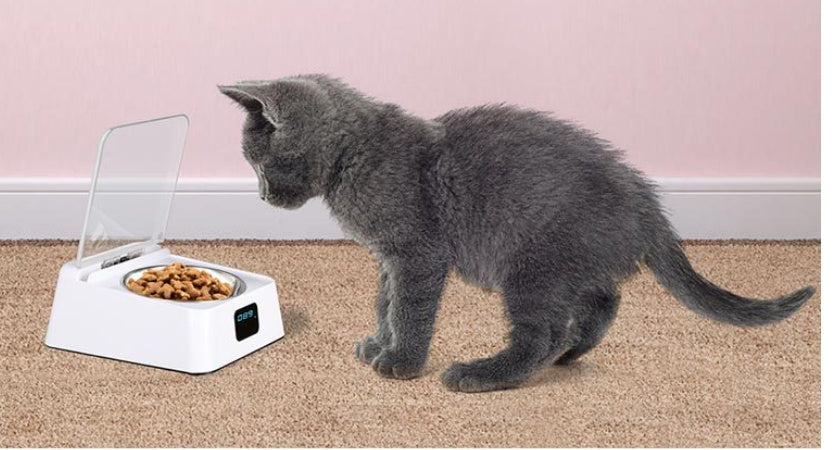 Pet 5G Bowl Automatic Pet Feeder - Paw Heroes Shop