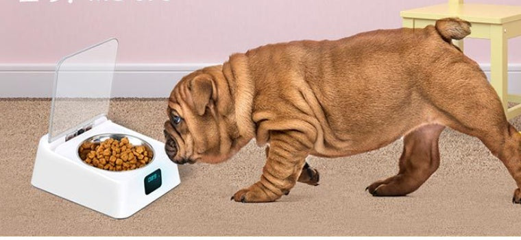Pet 5G Bowl Automatic Pet Feeder - Paw Heroes Shop