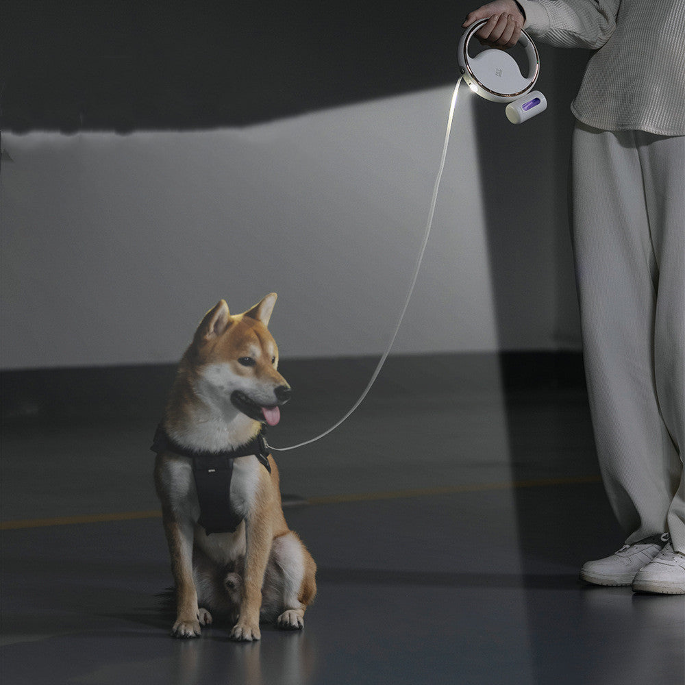 Automatic Lighting Retractable Dog Leash - Paw Heroes Shop