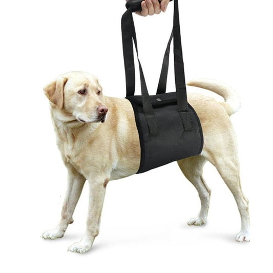 Dog leash auxiliary belt - Paw Heroes Shop