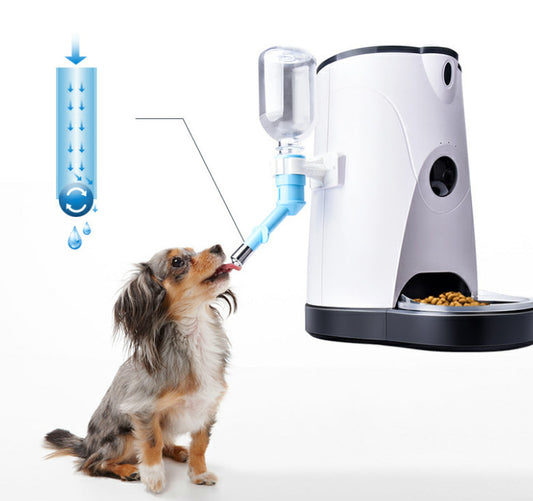 Pet automatic feeder - Paw Heroes Shop