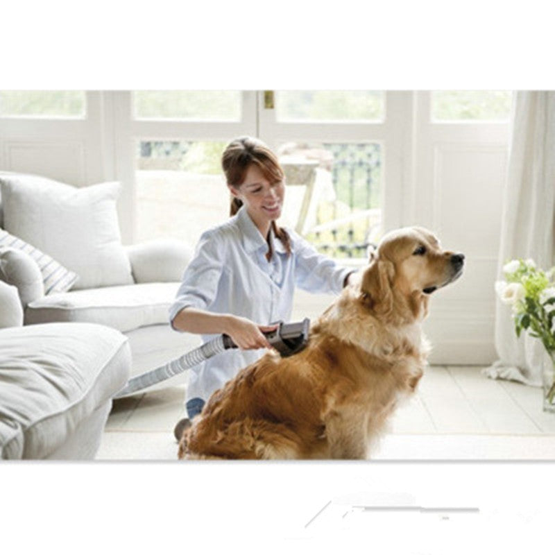 Woman grooming a golden retriever in a bright living room.