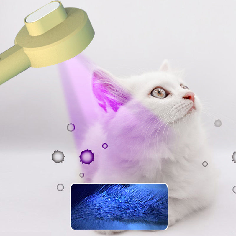 Hoopet 2-In-1 Durable Functional Pet Comb Detector UVC Cat Moss Detection Lamp Dog Hair Remover Cat Brush Grooming Tools - Paw Heroes Shop