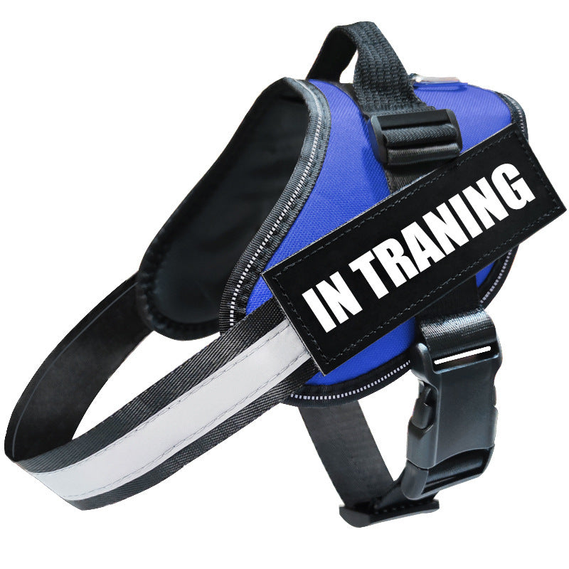 Reflective Dog Leash, Dog Leash, Dog Harness - Paw Heroes Shop