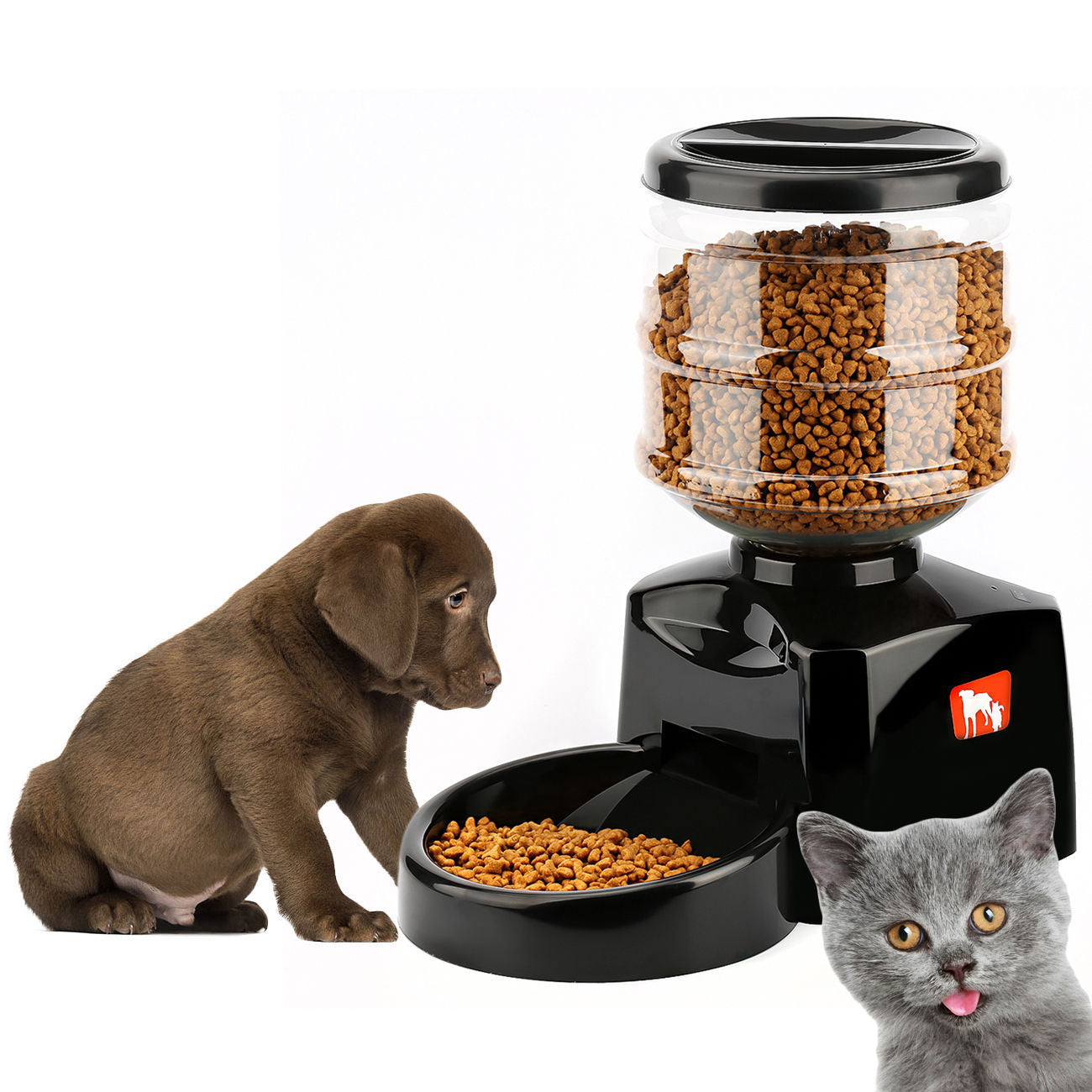 Timing Intelligent Automatic Feeder Snack Pet Supplies - Paw Heroes Shop