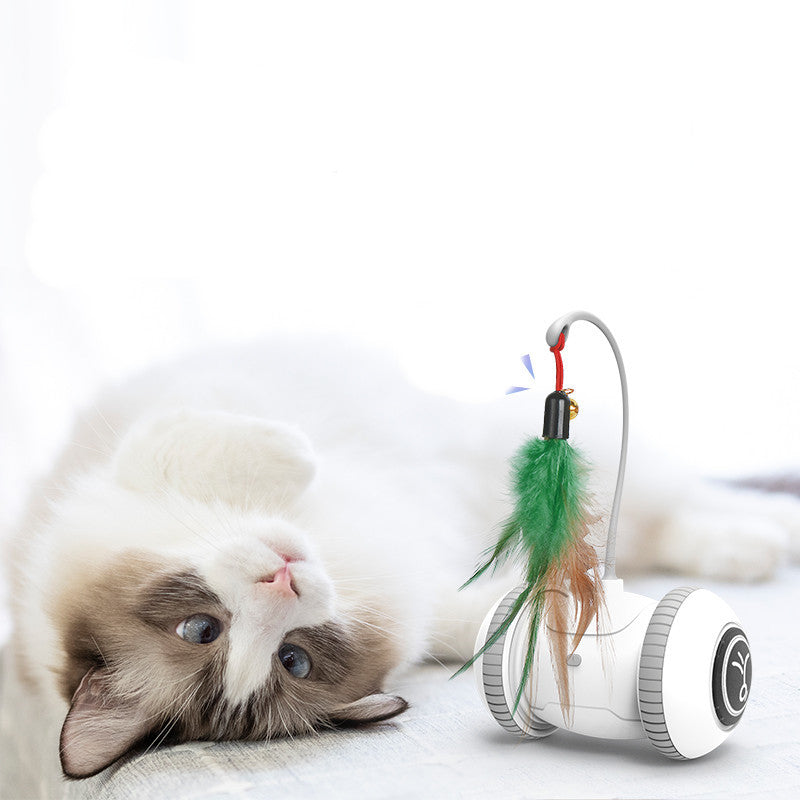 Interactive Cat Toy With Interchangeable Heads  Pet Feather Toys - Paw Heroes Shop