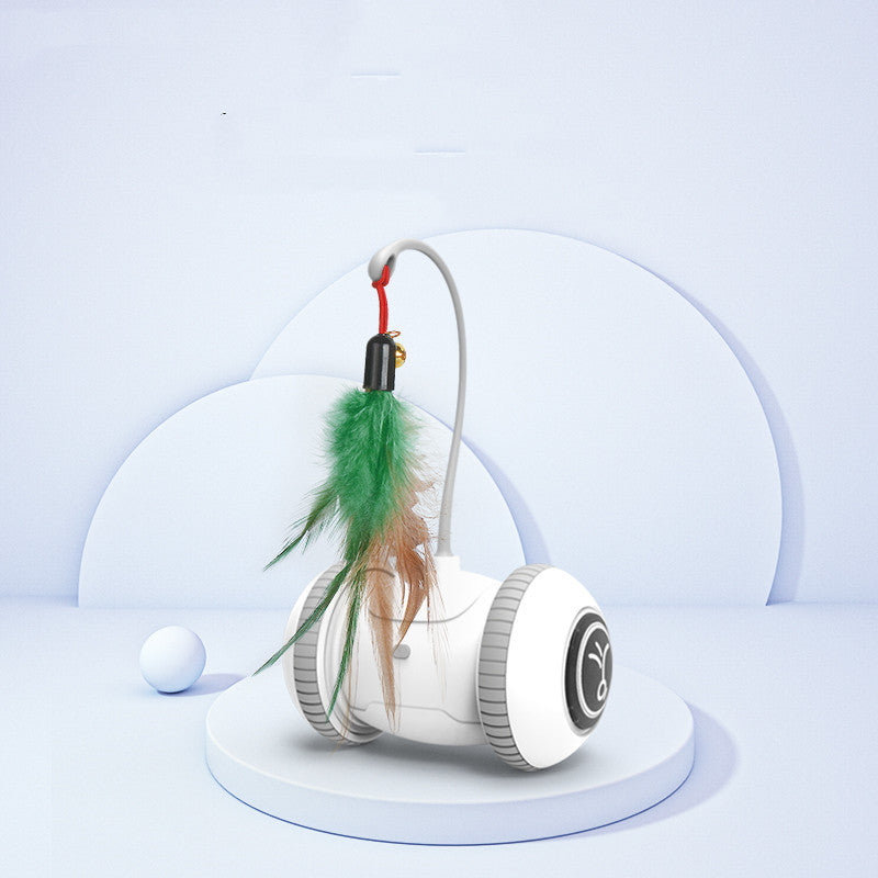 Interactive Cat Toy With Interchangeable Heads  Pet Feather Toys - Paw Heroes Shop