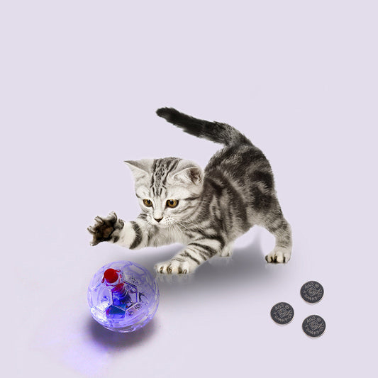 Cat Dog Toy Ball New Fashion Glowing Transparent Plastic Ball Pet Interactive Toy Funny Training Cat GlowBalls Toys Pet Products - Paw Heroes Shop