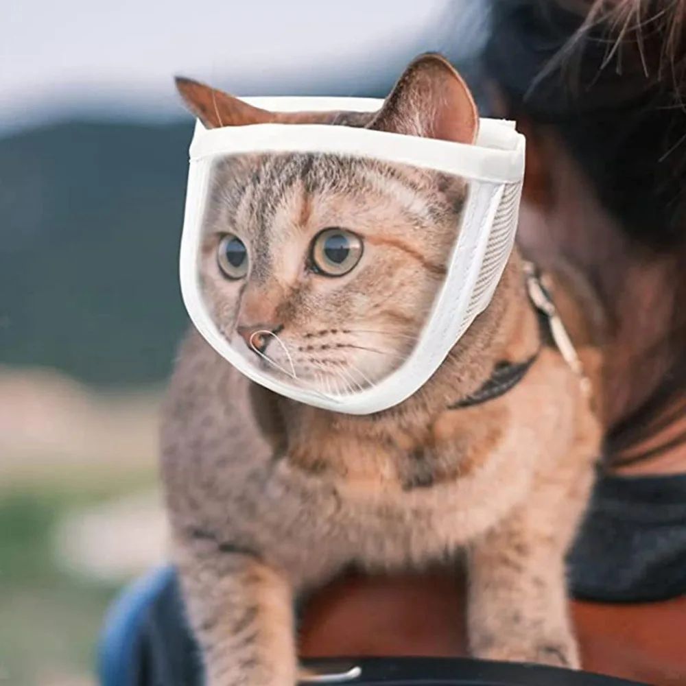Anti Bite Puppy Kitten Muzzles Mask Pet Product Cat Muzzle Breathable Dogs Cats Bathing Grooming Tools - Paw Heroes Shop