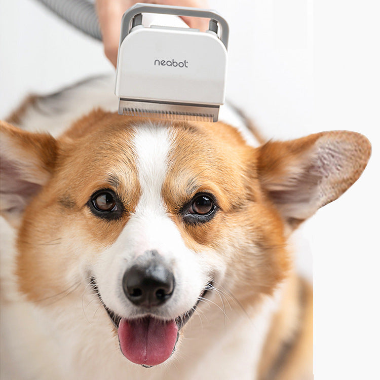 Pet Grooming Tool For Shaving And Grooming - Paw Heroes Shop