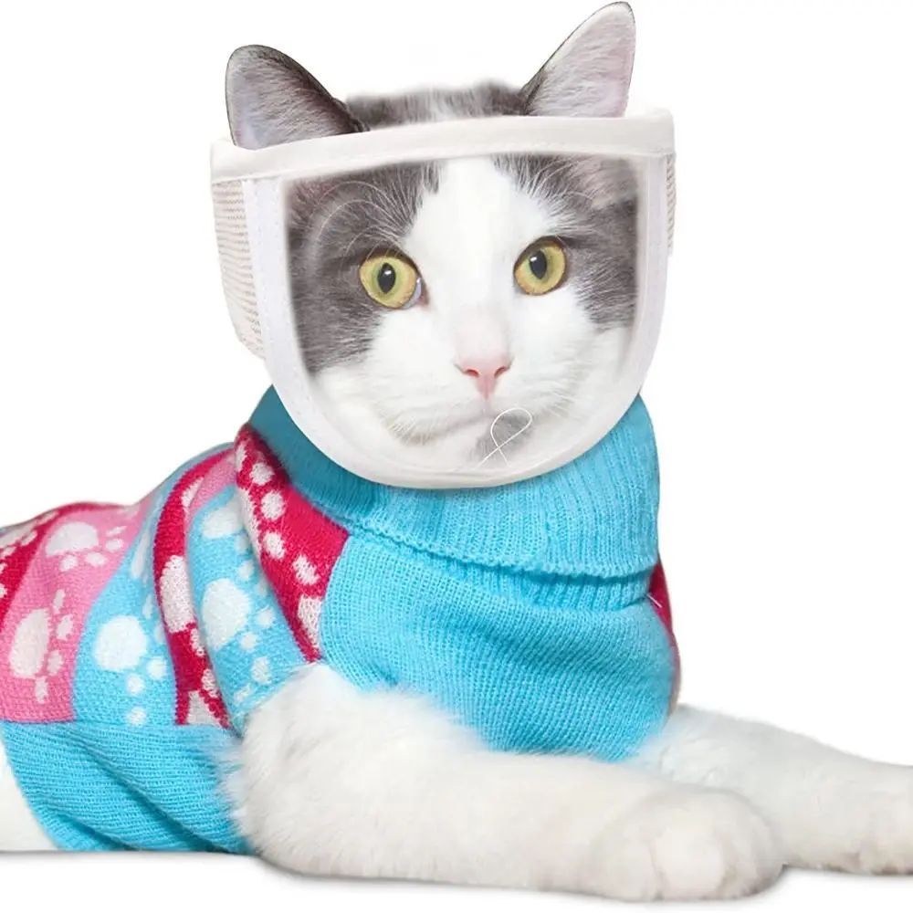 Anti Bite Puppy Kitten Muzzles Mask Pet Product Cat Muzzle Breathable Dogs Cats Bathing Grooming Tools - Paw Heroes Shop