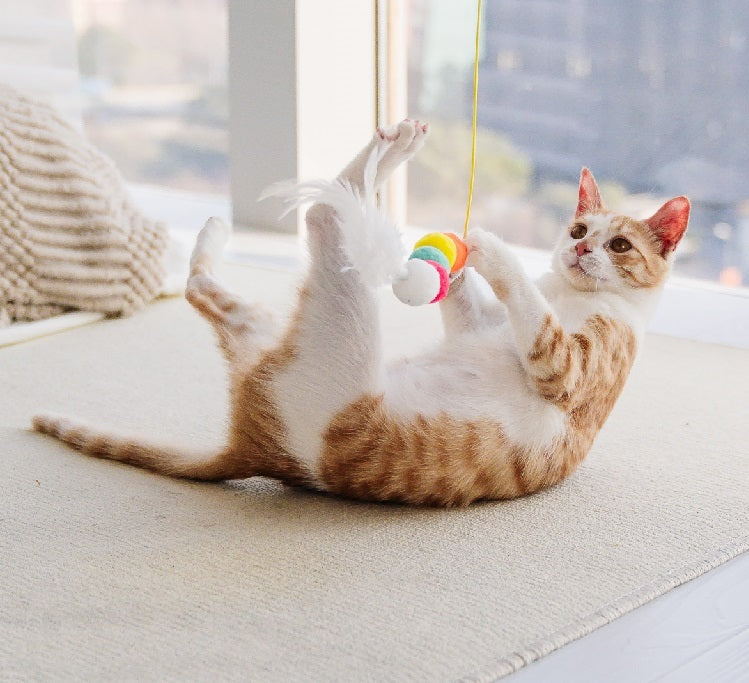 Cat Toys Simulated Cute Toys Funny Self-hey Interactive Toy Rope Grabbing Mouse Telescopic Hanging Cat Pet Supplies - Paw Heroes Shop