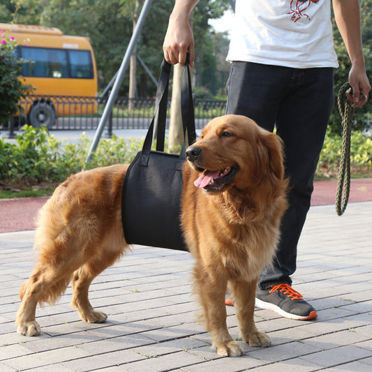 Dog leash auxiliary belt - Paw Heroes Shop