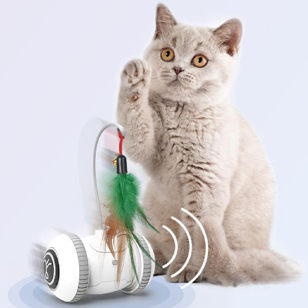 Interactive Cat Toy With Interchangeable Heads  Pet Feather Toys - Paw Heroes Shop