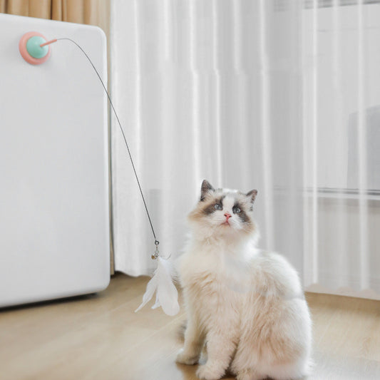 Household Fixed Pet Products Interactive Toys - Paw Heroes Shop