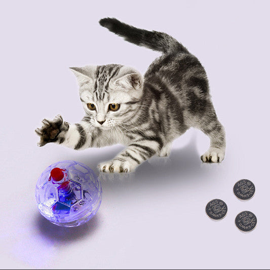 Cat Dog Toy Ball New Fashion Glowing Transparent Plastic Ball Pet Interactive Toy Funny Training Cat GlowBalls Toys Pet Products - Paw Heroes Shop