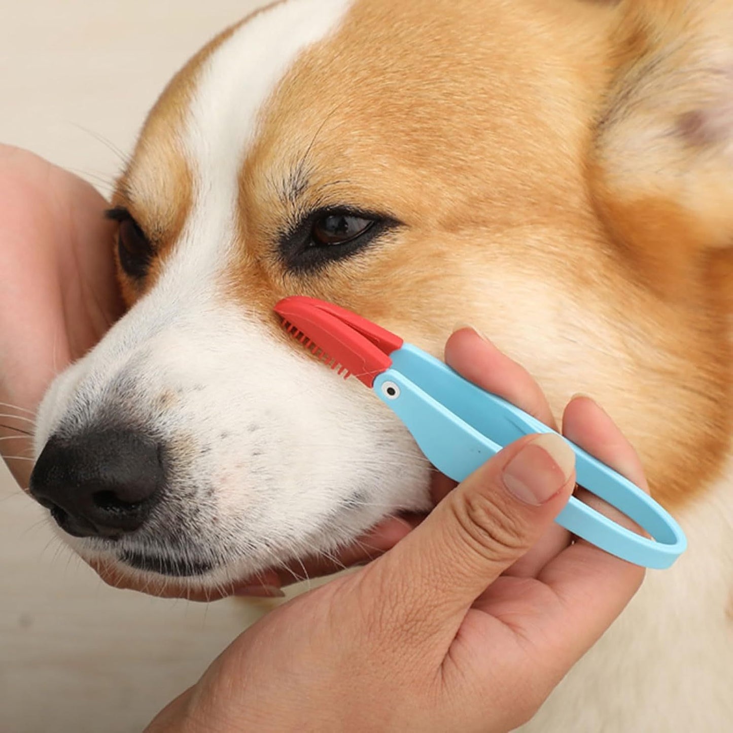 Pet Tear Marks Brush Pet Tear Marks Brush Cat Dog Eye Excrement Brush Soft Washable Pet Combing Brush With Handle Tear Comb Tear Stain Remover Comb Pet Grooming Tools - Paw Heroes Shop