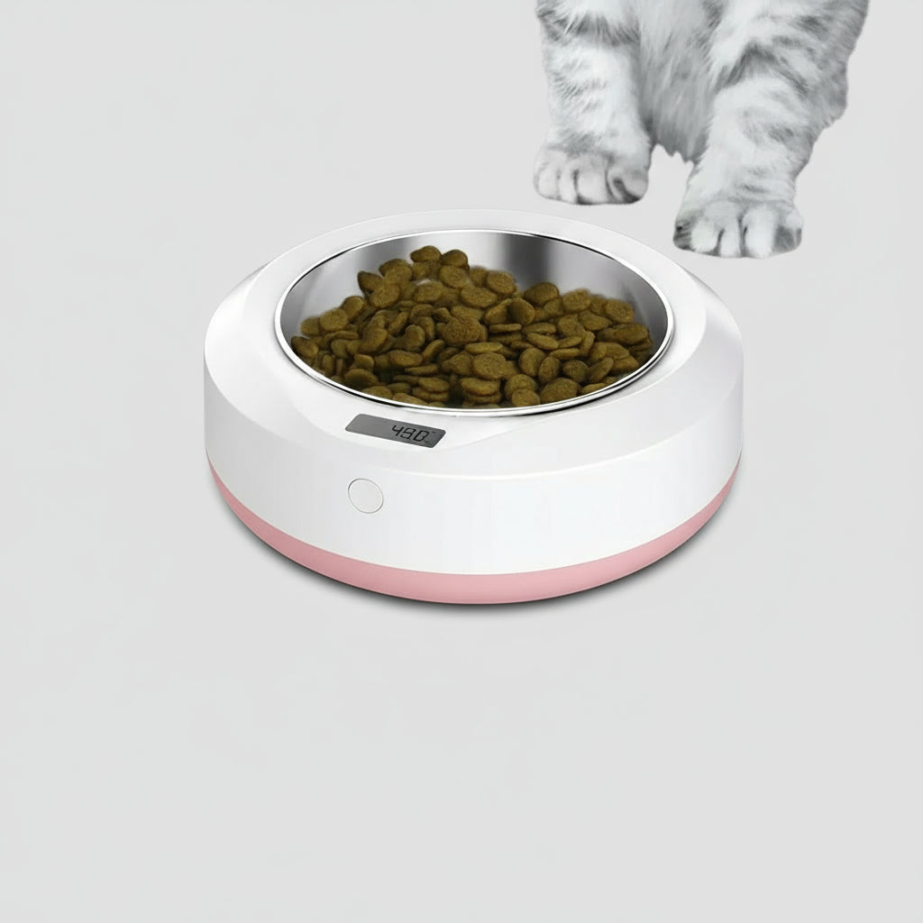 Pet portable automatic feeder - Paw Heroes Shop