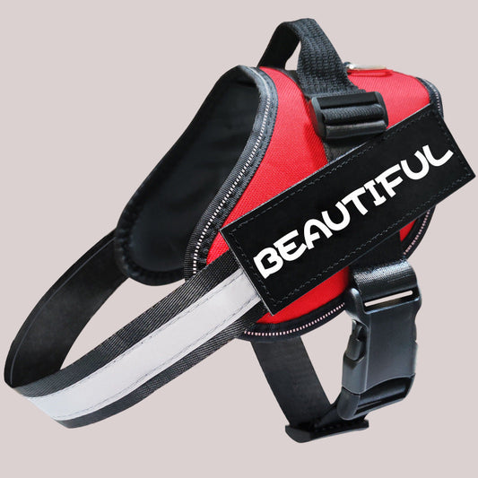 Reflective Dog Leash, Dog Leash, Dog Harness - Paw Heroes Shop