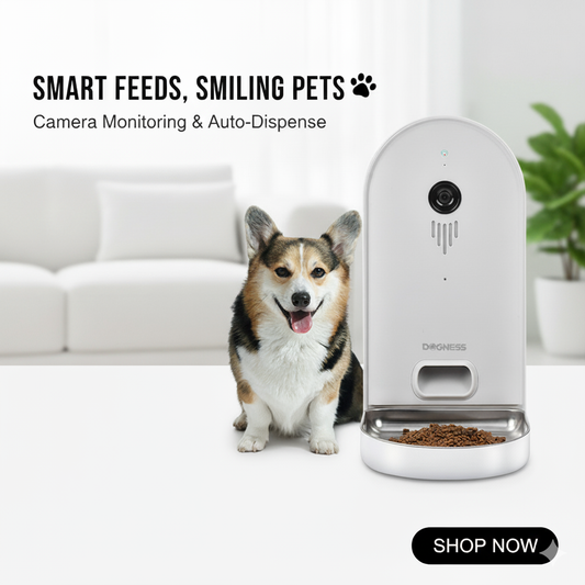 Pet feeder with camera and auto-dispense feature next to a dog in a living room setting.