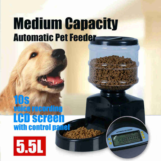 Timing Intelligent Automatic Feeder Snack Pet Supplies - Paw Heroes Shop