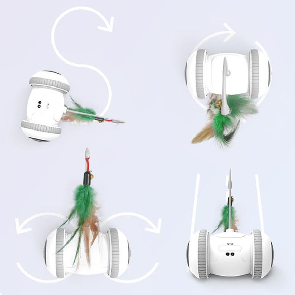 Interactive Cat Toy With Interchangeable Heads  Pet Feather Toys - Paw Heroes Shop