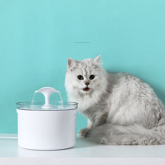 Pet Dog Cat Water Fountain Electric Automatic Water Dispenser Container LED Water Level Display For Dogs Cats Drink - Paw Heroes Shop