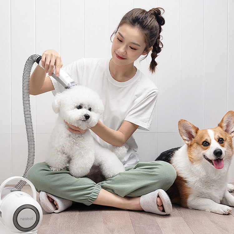Pet Grooming Tool For Shaving And Grooming - Paw Heroes Shop